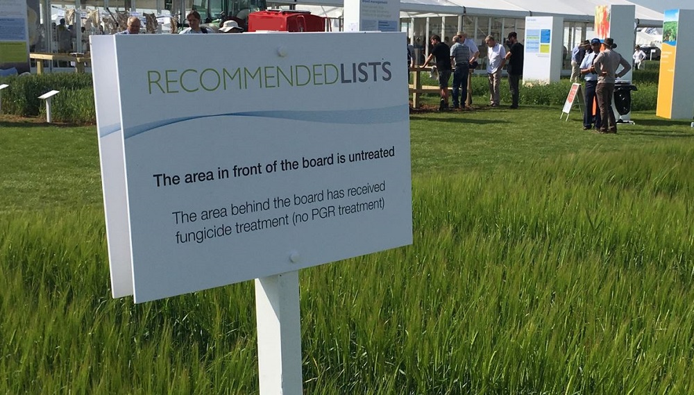 A fungicide treatment sign in a cereal plot